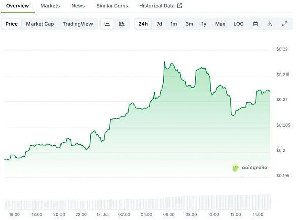 从华尔街精英到比特币布道者：Dan Morehead的加密传奇