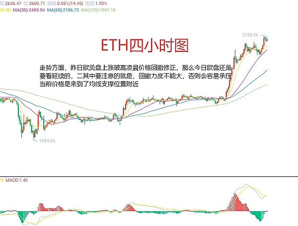 BIBI：一只被社群捧红的不死鸟，真能创造千倍神话？