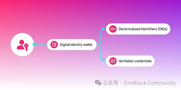 V神重提Plasma：以太坊扩容的老树开新花？