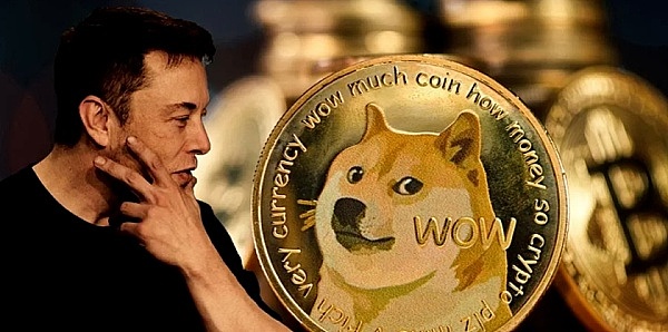 柴犬币燃烧率：从疯狂到冷静，市场究竟在传递什么信号？